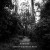 Purchase Reveries In The Ancient Forest (EP) Mp3
