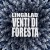 Buy Venti Di Foresta (EP)
