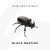 Purchase Black Beatles (Rae Sremmurd Cover) (CDS) Mp3