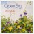 Purchase Open Sky Mp3