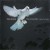 Purchase The Armed Man - A Mass For Peace Mp3