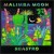 Buy Malimba Moon