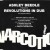Purchase Revolutions In Dub (The Remix Mafia) (CDS) Mp3
