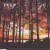 Buy Sunrise & The Trees (CDS)