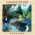 Purchase Jungle of Joy Mp3