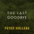 Buy The Last Goodbye (CDS)
