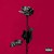 Purchase Deadroses Mp3