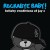 Purchase Rockabye Baby! Lullaby Renditions Of Jay Z Mp3