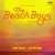 Purchase Sounds Of Summer: The Very Best Of The Beach Boys (Expanded Edition) CD3 Mp3