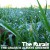 Purchase The Grass Is Always Greener Mp3