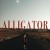 Purchase Alligator Mp3