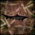 Buy Shark Remixes Vol.2 (Remixes by Son Lux)