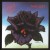 Purchase Black Rose (A Rock Legend) Mp3