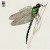 Purchase Dragonfly Mp3