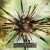 Buy Wish Upon A Blackstar (Deluxe Edition) CD1