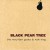 Buy Black Pear Tree (EP)