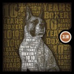 Buy 10 Years Of Boxer