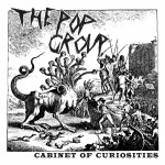 Buy Cabinet Of Curiosities
