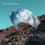 Buy Liberated Gesture