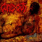 Buy Amongst The Rotted (EP)