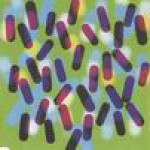 Buy Based On A True Story