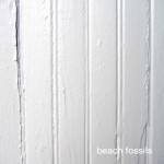 Buy Beach Fossils