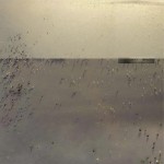 Buy Hold Everything Dear