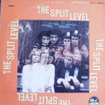 Buy The Split Level (Divided We Stand) (Vinyl)