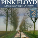 Buy A Momentary Lapse Of Reason (The High Resolution Remasters) CD4