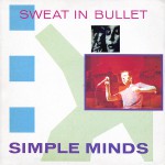 Buy Sweat In Bullet (VLS)