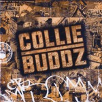 Buy Collie Buddz