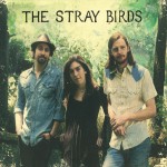 Buy The Stray Birds