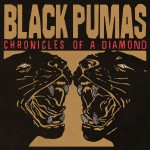 Buy Chronicles Of A Diamond