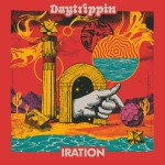 Buy Daytrippin