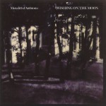 Buy Wishing On The Moon