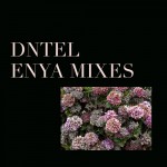 Buy Enya Mixes