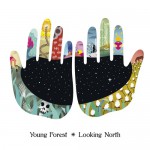 Buy Looking North (EP)