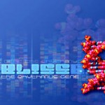 Buy The Rhythmus Gene