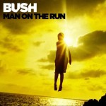 Buy Man on the Run