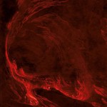 Buy Söngvar Elds Og Óreiðu