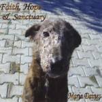 Buy Faith Hope & Sanctuary