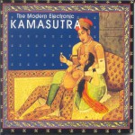 Buy The Modern Electronic Kamasutra