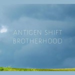 Buy Brotherhood