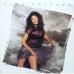 Buy June Pointer