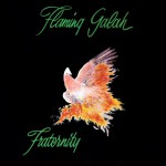 Buy Flaming Galah (Vinyl)