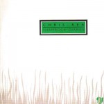 Buy Shamrock Diaries