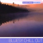 Buy Vol. 9: Bluesy Chill Out