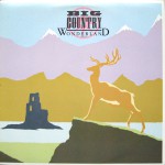 Purchase Big Country Wonderland (Vinyl)