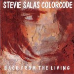 Buy Stevie Salas Colorcode