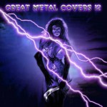 Buy Great Metal Covers 12